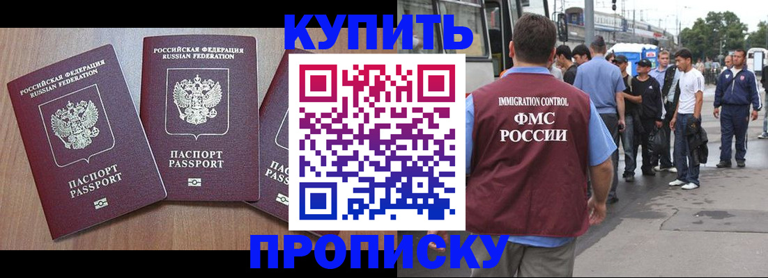 прописка 2025 в Чехове